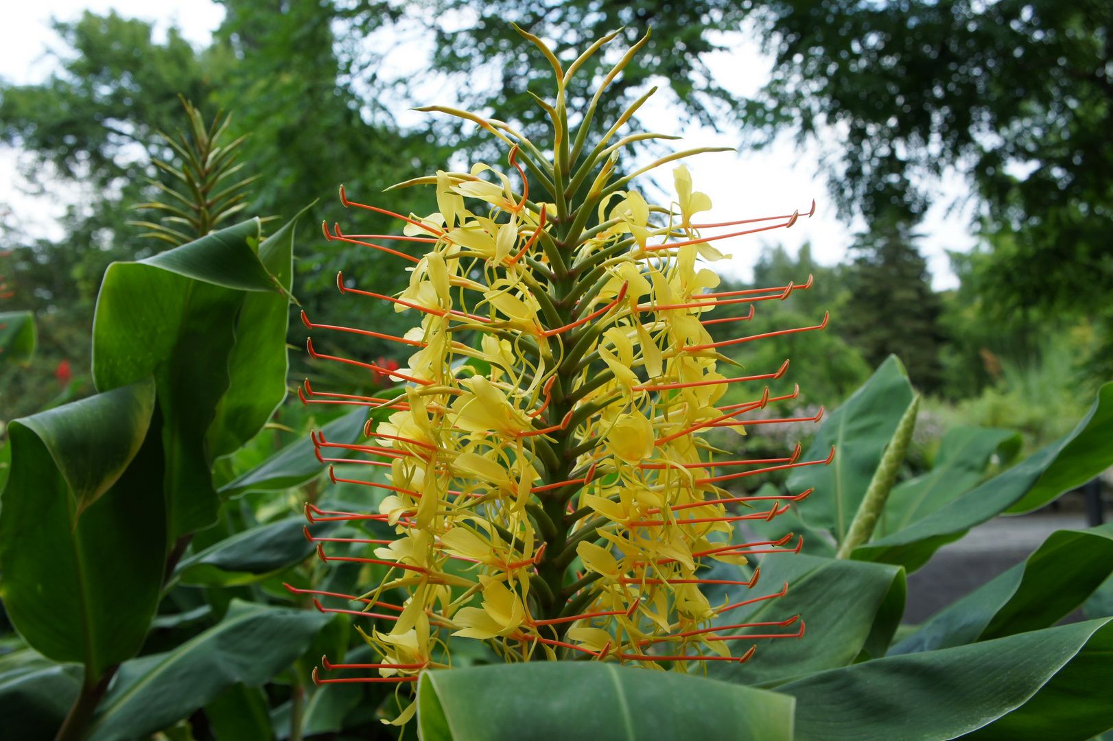 Botanischer Garten Uni Leipzig #6