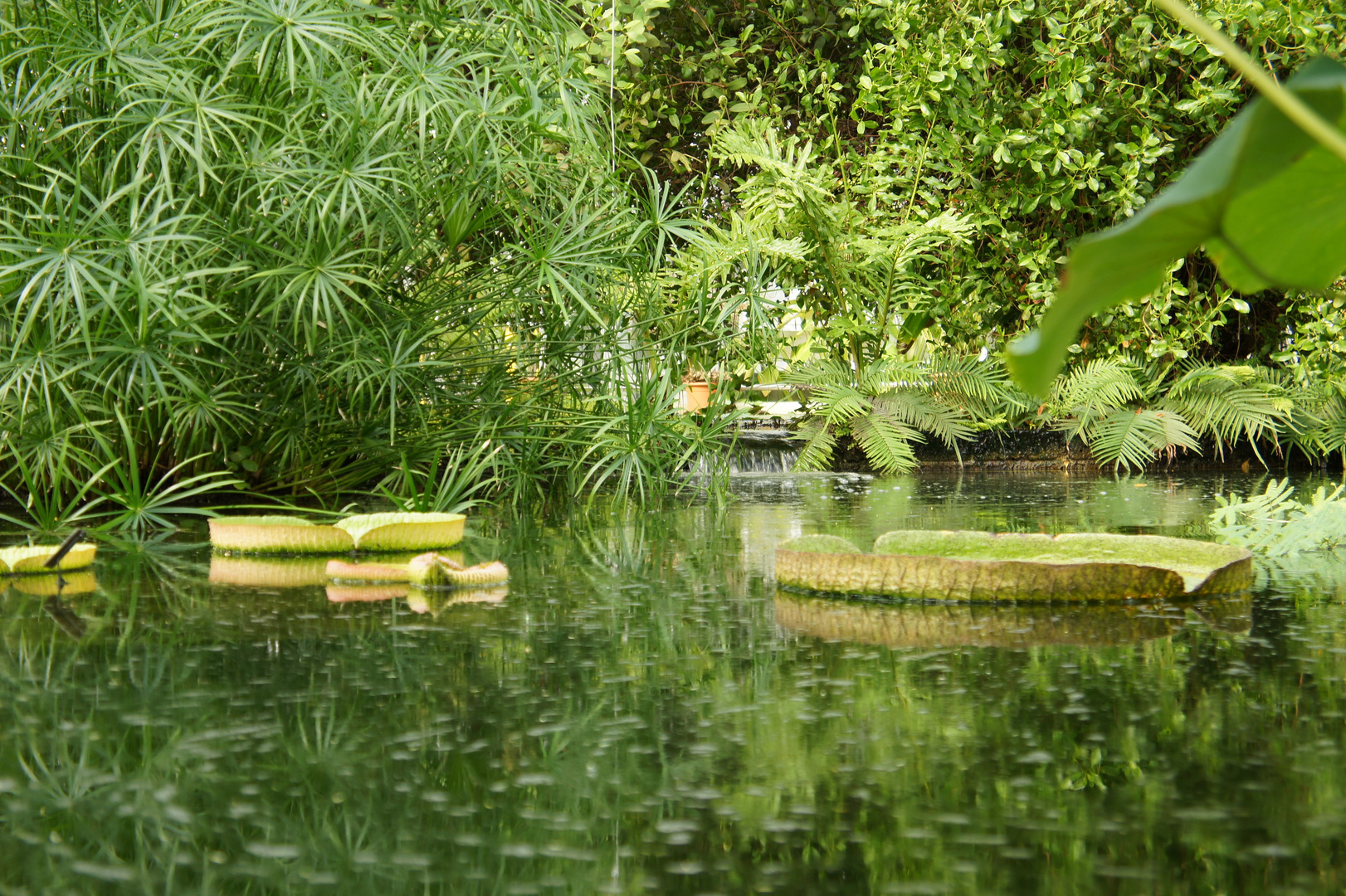 Botanischer Garten Uni Leipzig #7