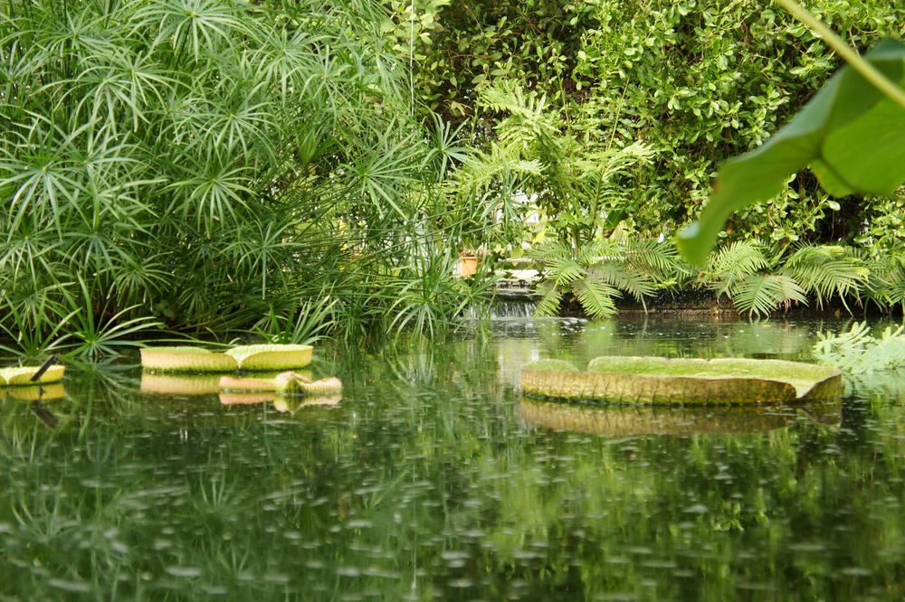 Botanischer Garten Der Universität Leipzig Botanischer Garten Der