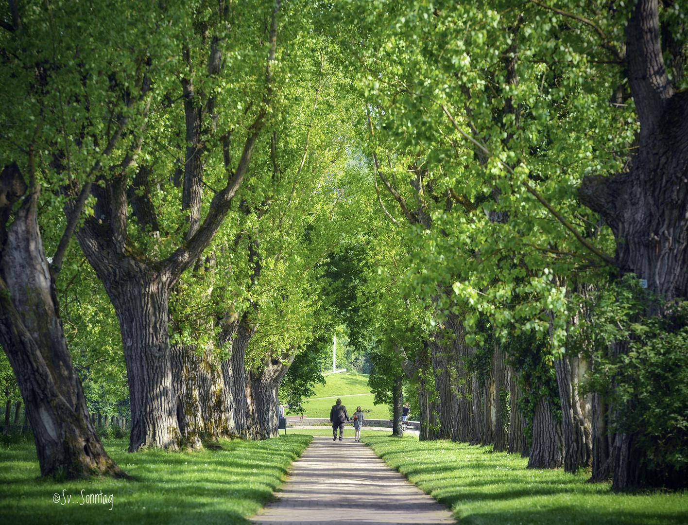 Botanischer Garten Universität StuttgartHohenheim