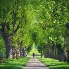 Botanischer Garten Universität Stuttgart-Hohenheim ...