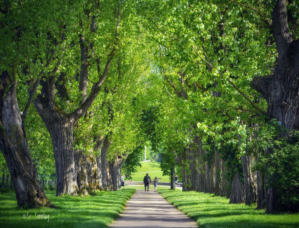 Botanischer Garten Universität StuttgartHohenheim