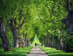 Botanischer Garten Universität Stuttgart-Hohenheim ...