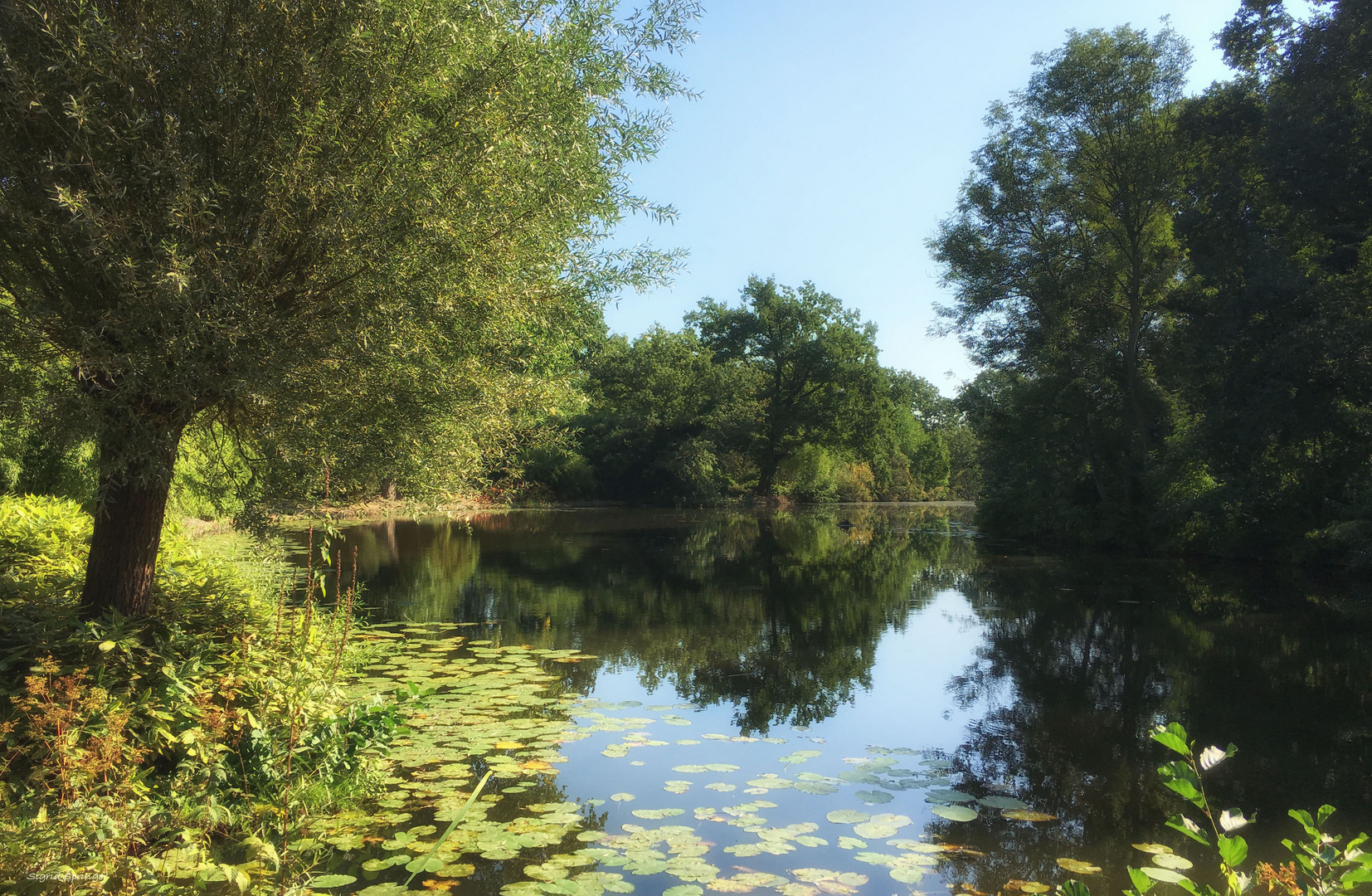 Botanischer Garten Utrecht