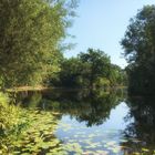 Botanischer Garten Utrecht