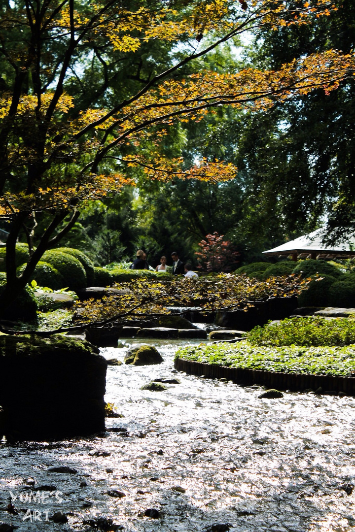 Botanischer Garten V