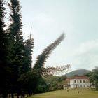 Botanischer Garten von Peradeniya