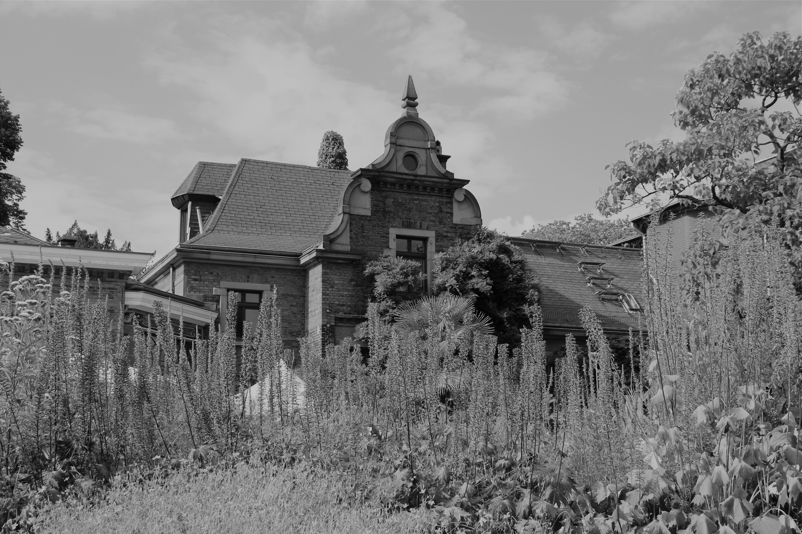 Botanischer Garten Wuppertal 1