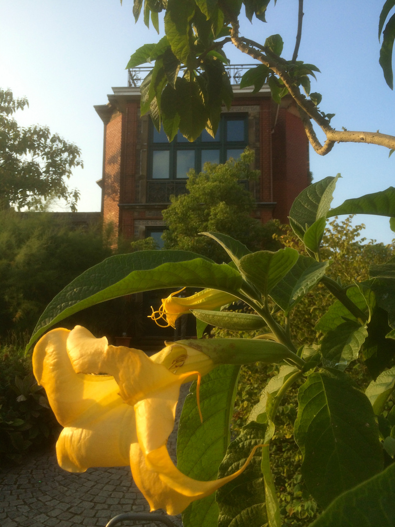 Botanischer Garten Wuppertal 2