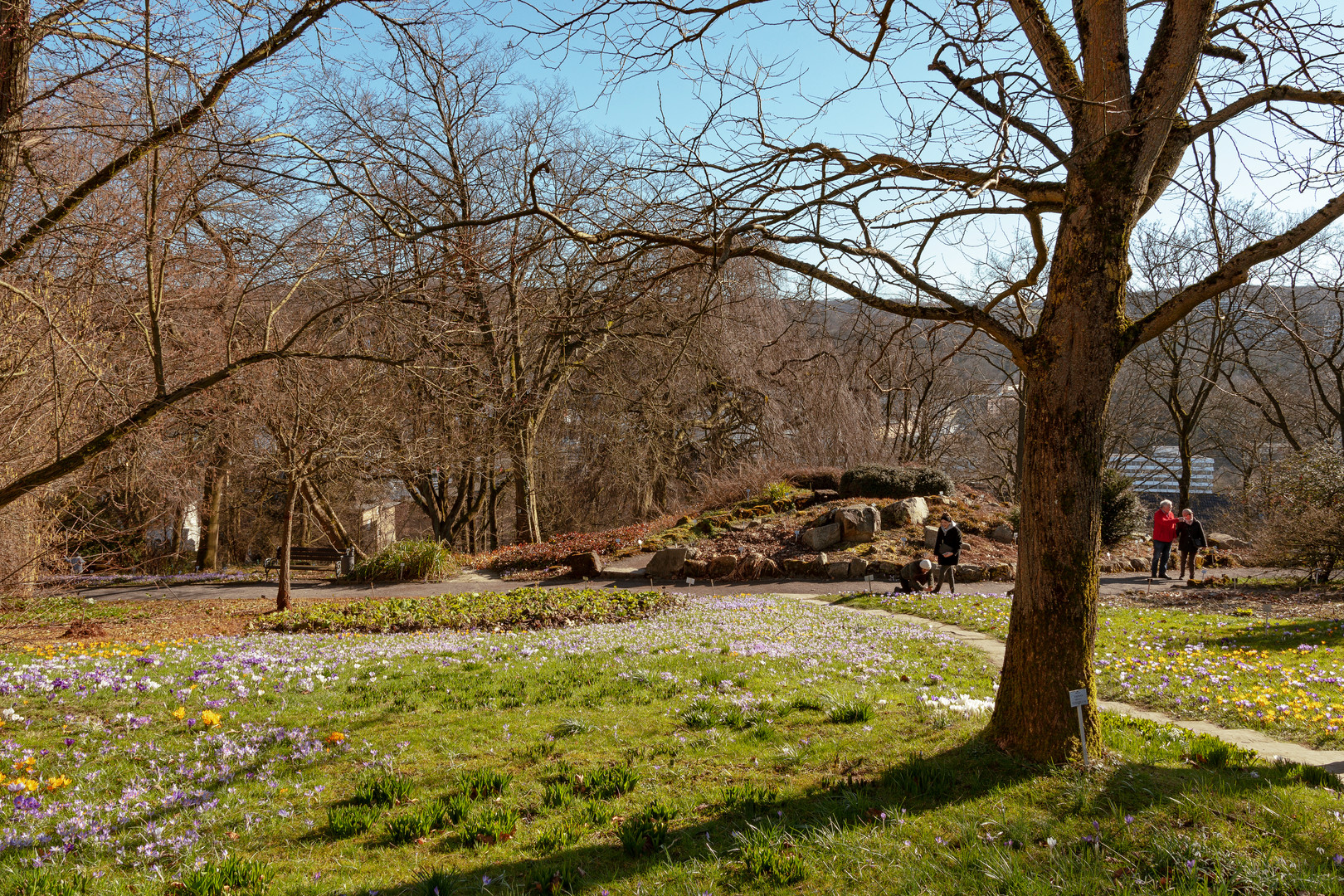 Botanischer Garten Wuppertal