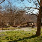 Botanischer Garten Wuppertal