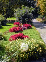 Botanischer Garten Wuppertal