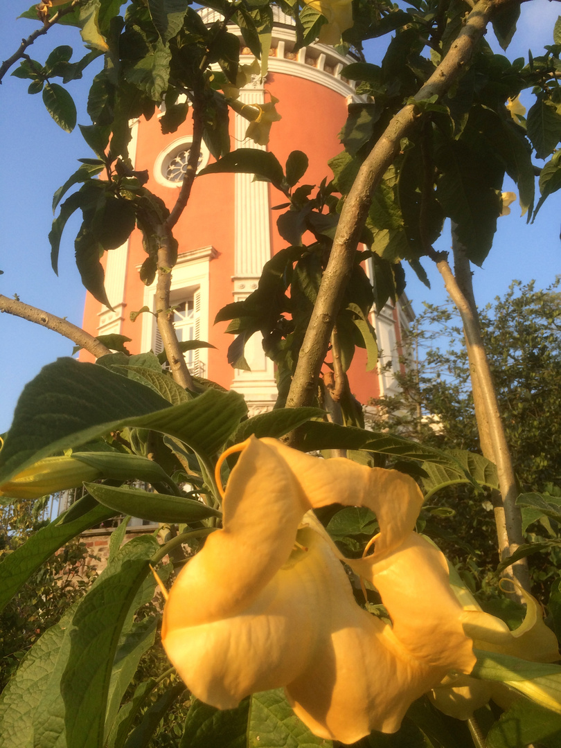 Botanischer Garten Wuppertal