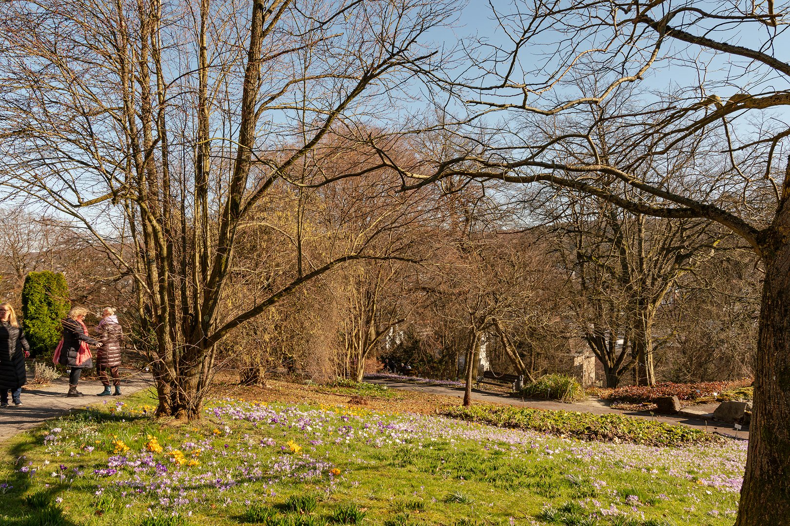 Botanischer Garten Wuppertal 