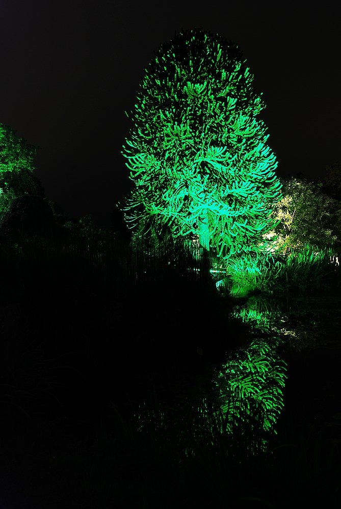 Botanischer Garten Wuppertal