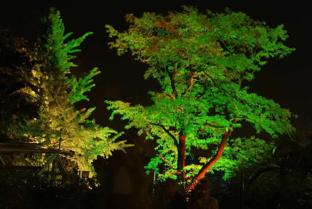 Botanischer Garten Wuppertal im Lichterglanz (IV)