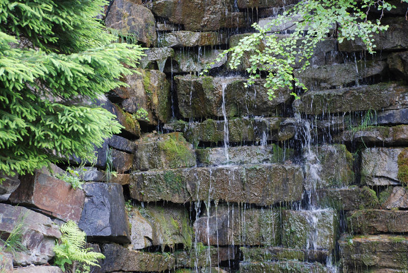 Botanischer Garten,Osnabrück Foto & Bild landschaft