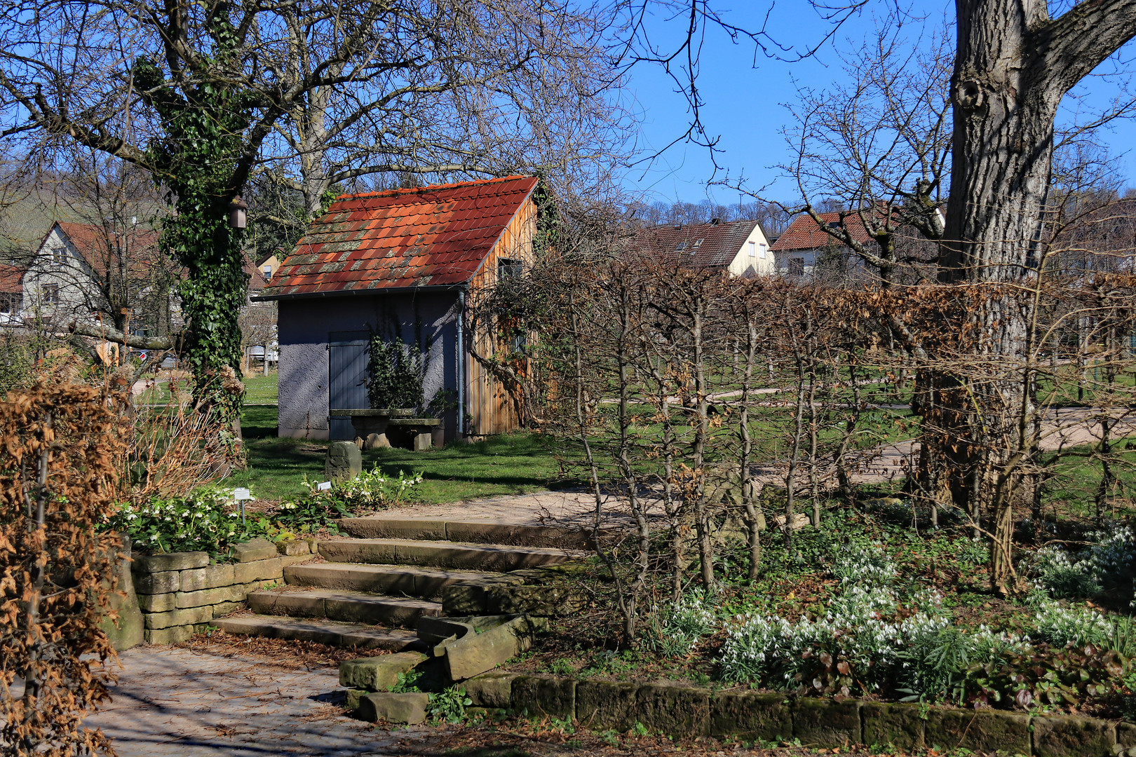 Botanischer Obstgarten