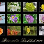 Botanischer Rückblick 2010