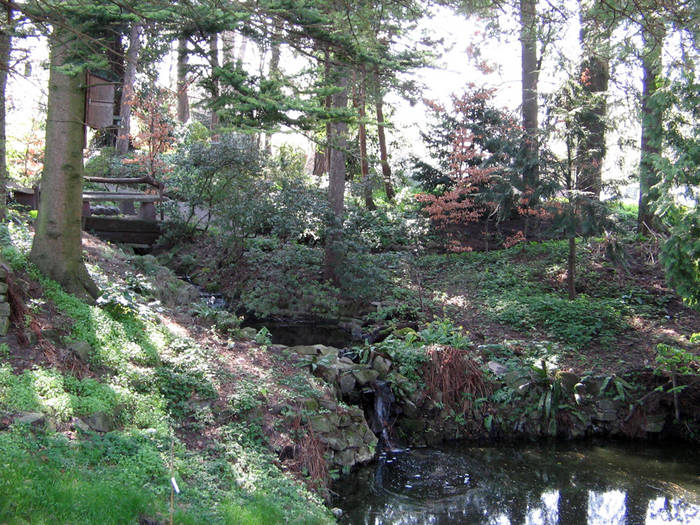 Botanischer Schulgarten