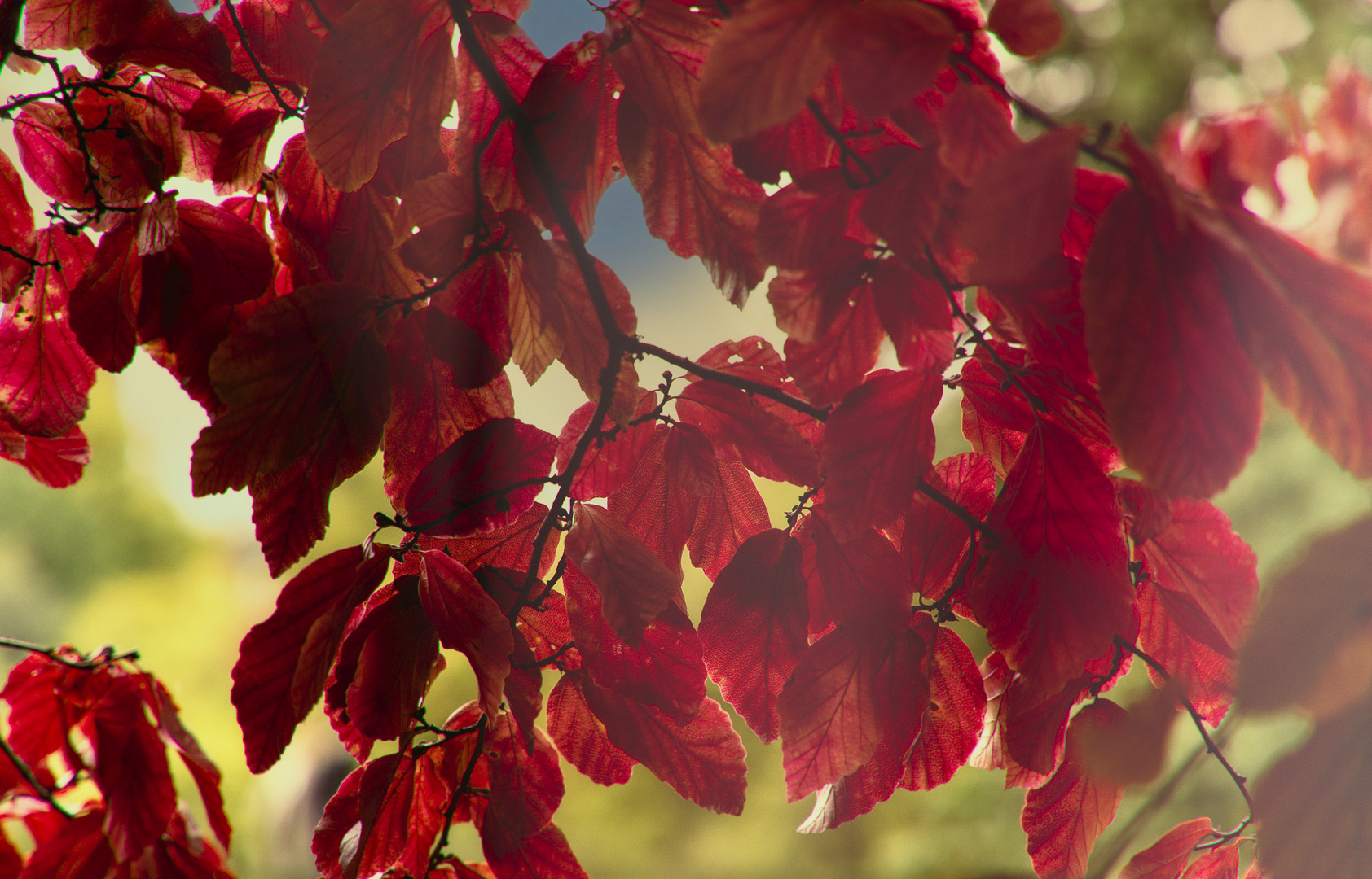 BotanischerGarten-3