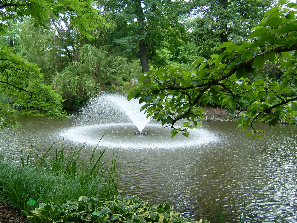 Botanischergarten in Wroclaw(Breslau)