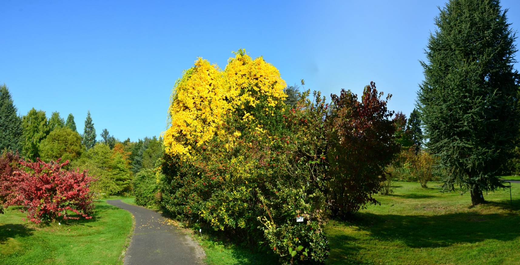 Botanischer/Garten- Marburg