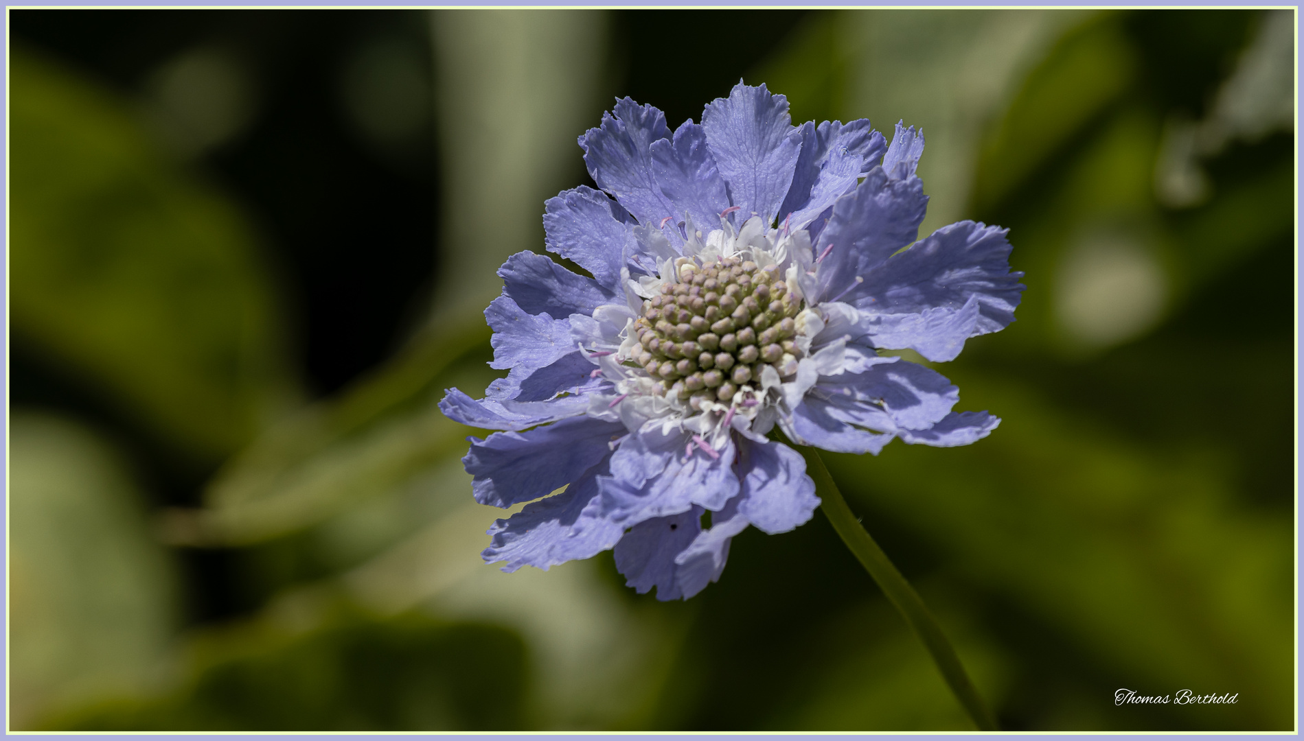 Botanischergarten Solingen