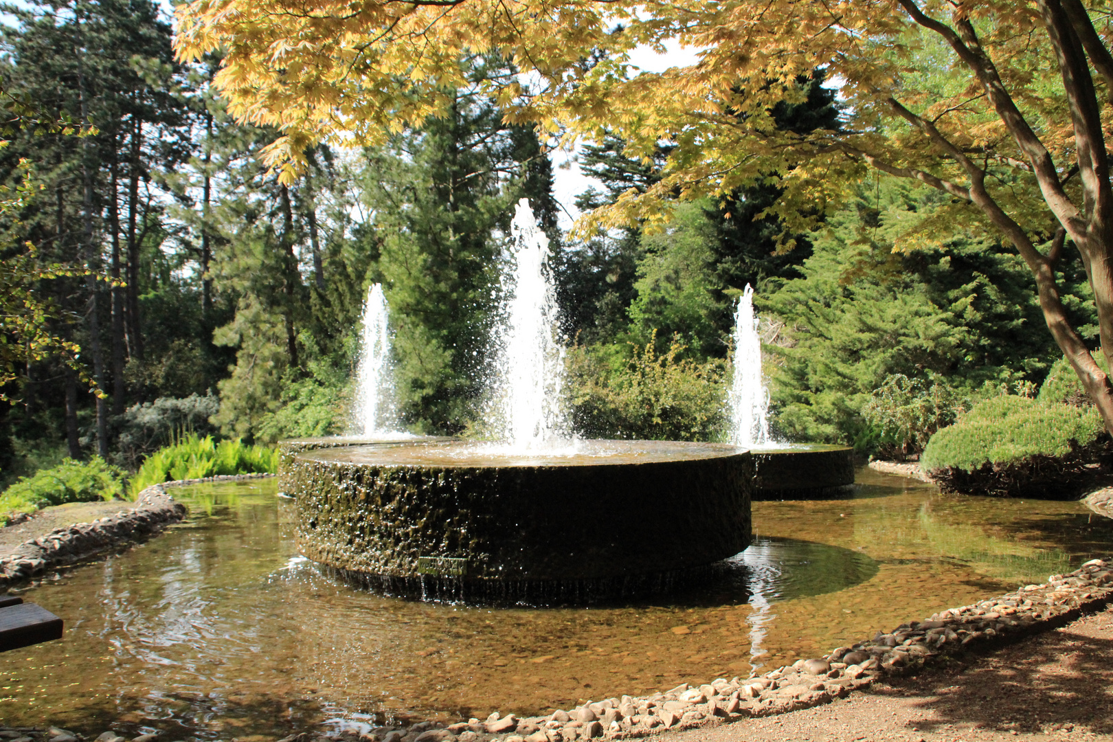 BotanischerGartenKöln