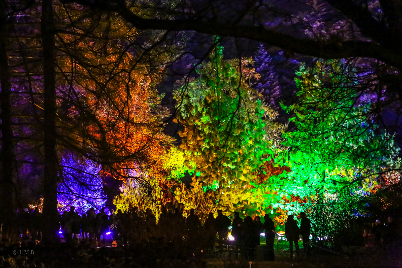 Botanisches Farbenfest