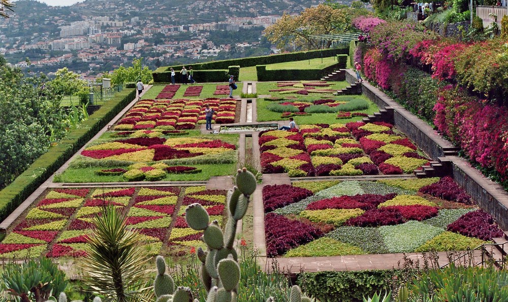 Botanisches Farbenspiel