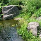 Botanisches Garten