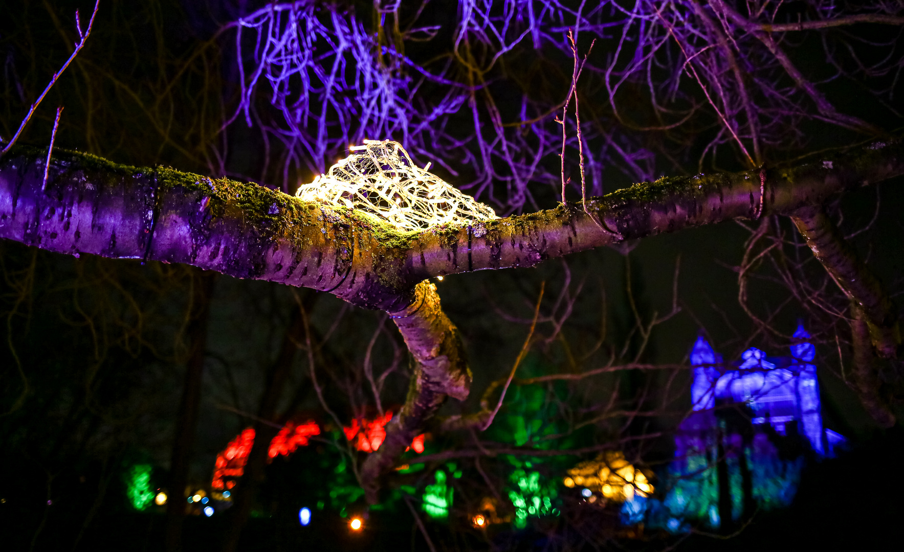 Botanisches Lichterfest