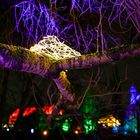 Botanisches Lichterfest