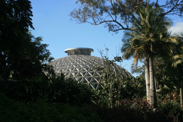 botanisher garten tropishes grunhaus