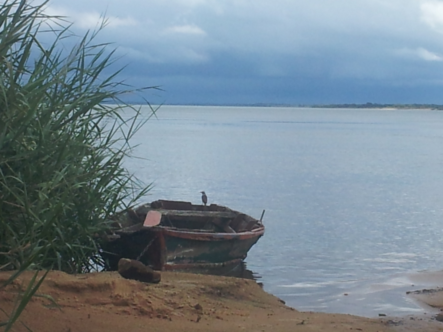 Bote solitario