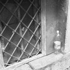 Botella abandonada