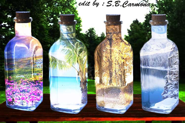 BOTELLAS «Estaciones»