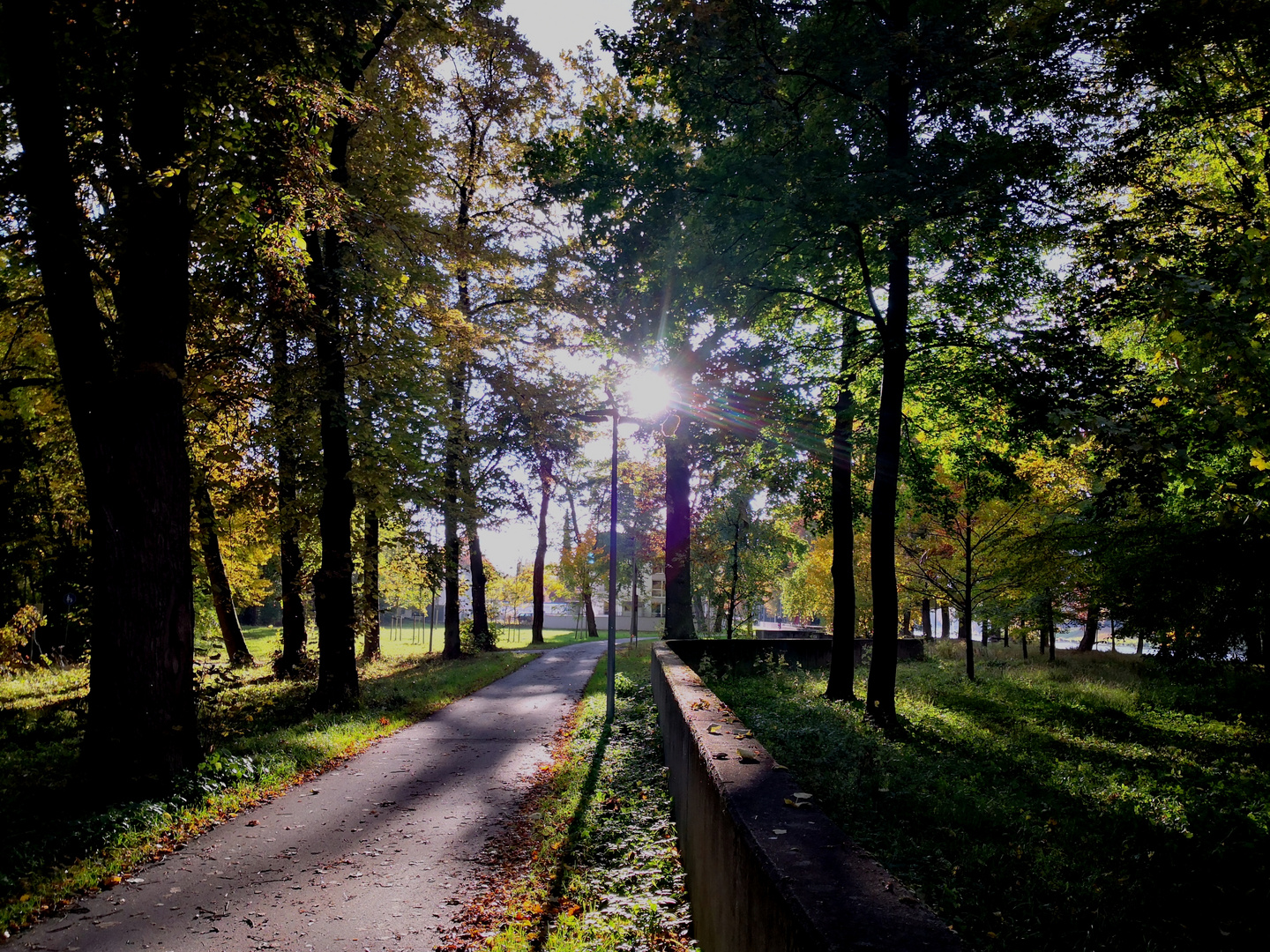 boten des herbstes 