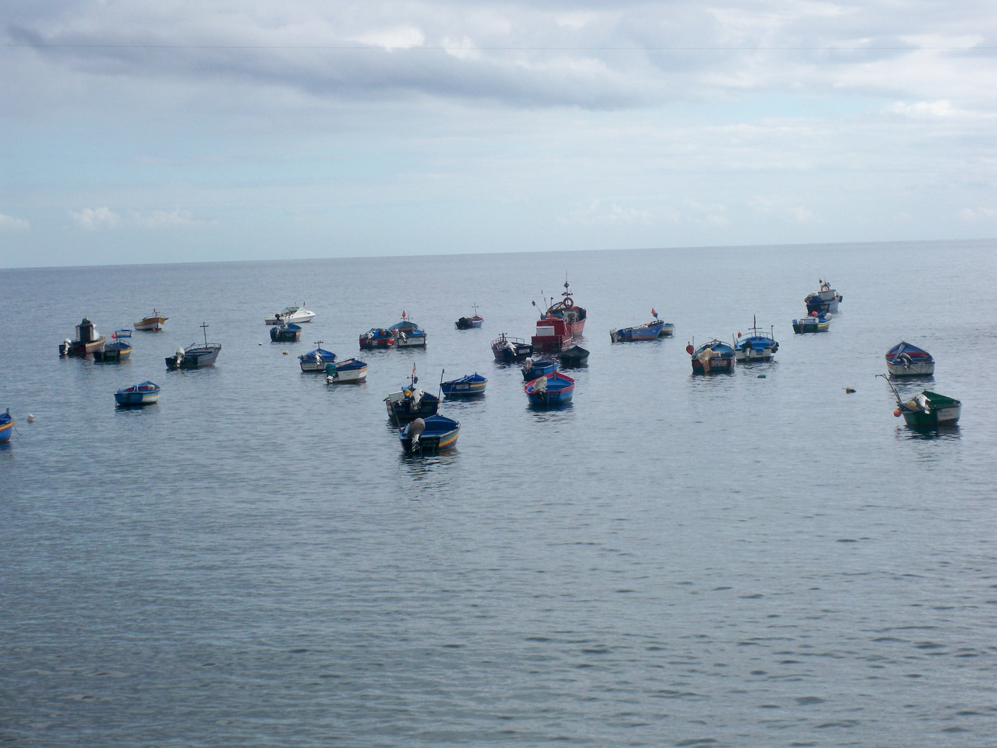 Botes en la bahía