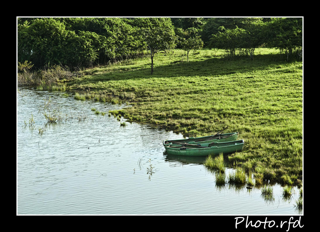 Botes en la orilla