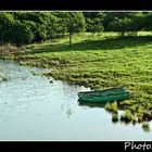 Botes en la orilla