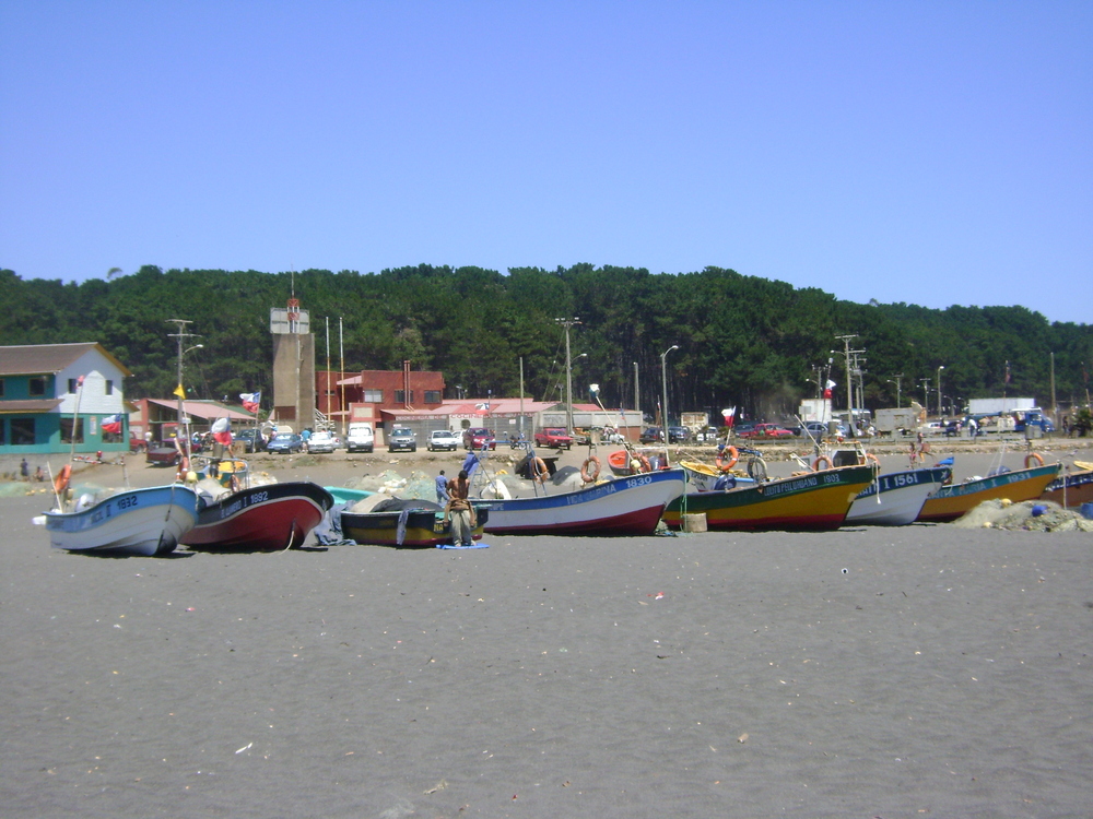 Botes pesqueros de Blanca Otárola Donoso 