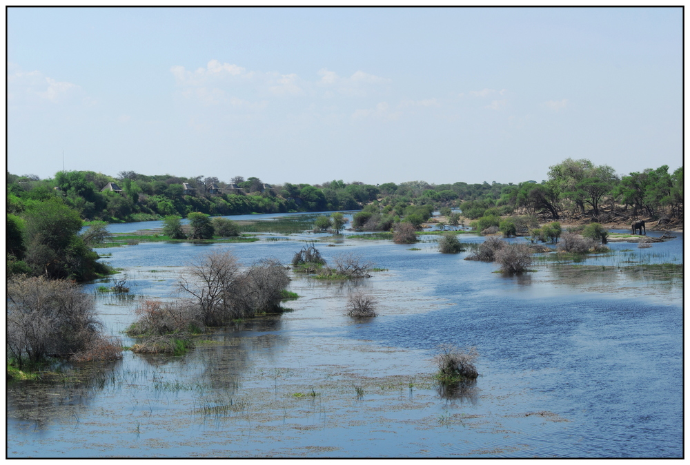 Boteti River bei Khumaga