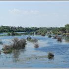 Boteti River bei Khumaga