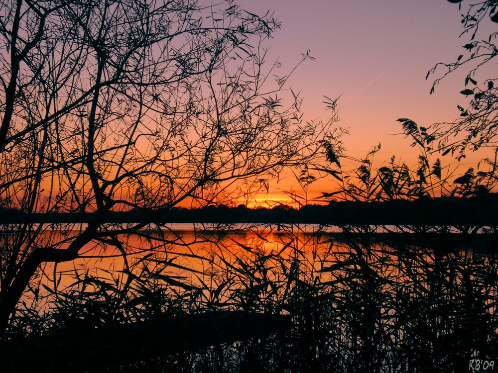 Bothkamper See in Kirchbarkau