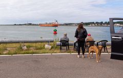 Botlek - Spit of Rozenburg - Head of the Spit - 02