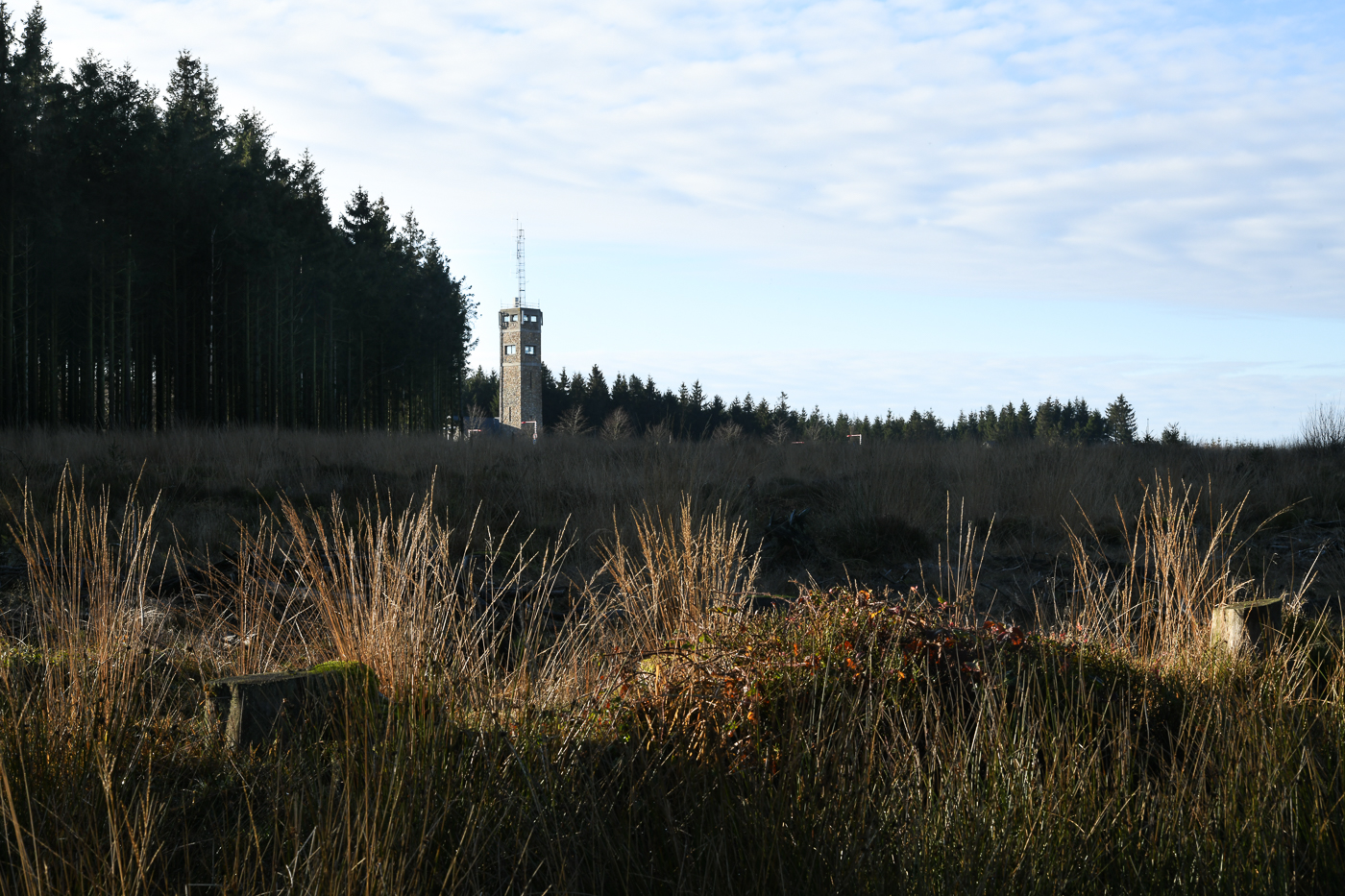 Botrange Hautes Fagnes (B)