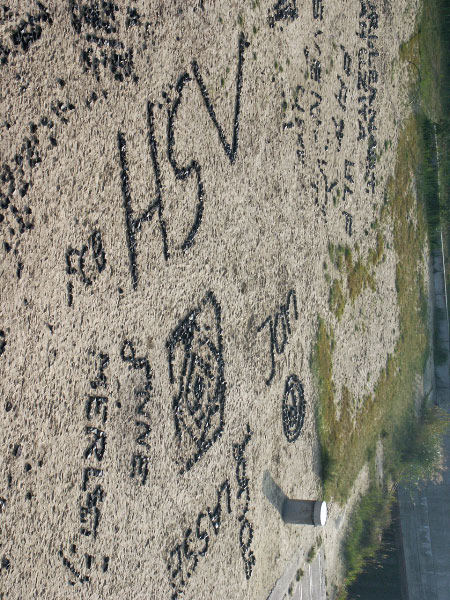 Botschaften am strand zu hamburg