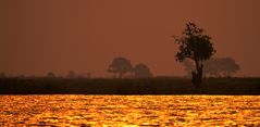 Botsuana, Chobe River, Sonnenuntergang